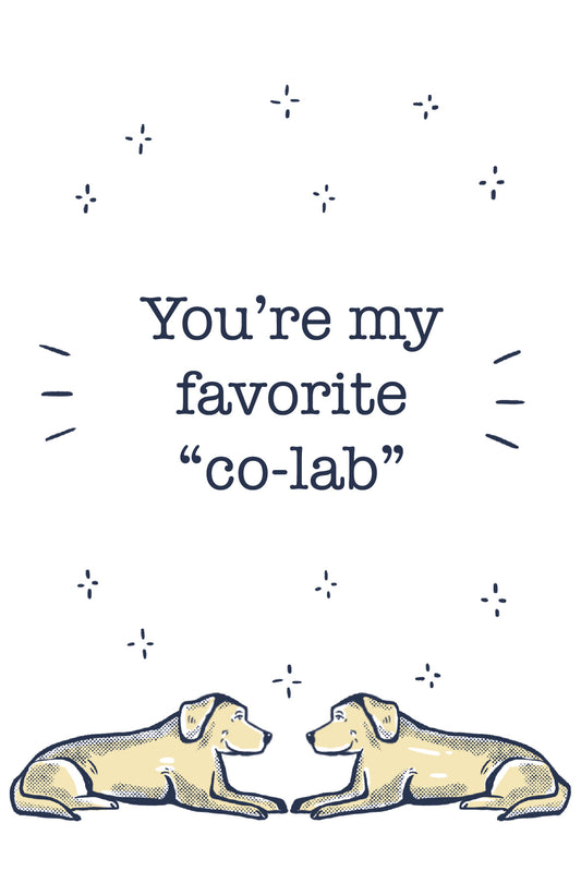 Favorite Co‑Lab